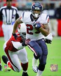 Arian Foster Houston Texans 8 X 10 Photo