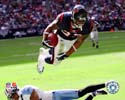 Arian Foster Houston Texans 8 X 10 Photo