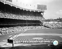 16 X 20 Yankee Stadium New York Yankees Photo