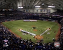 16 X 20 Metrodome Minnesota Twins Photo